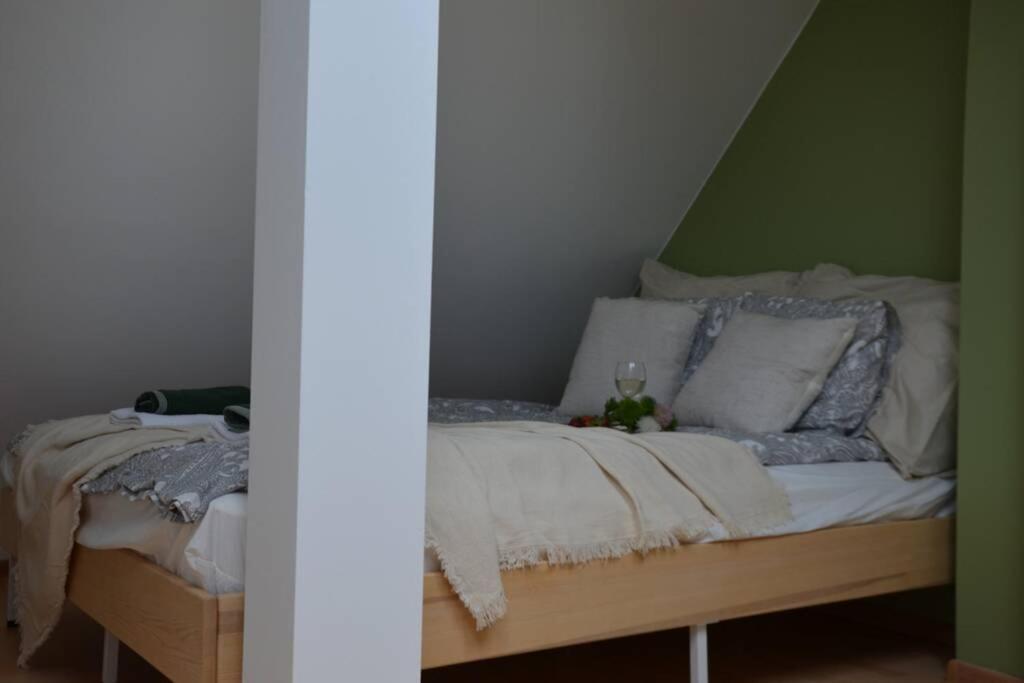 Ines Apartament Two Levels 105M2 In The Old Town Wi-Fi, Olsztyn  Exterior foto